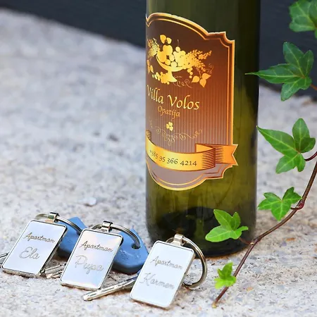 Apartment Volos, Roof Terrace, Sea View, Private Parking